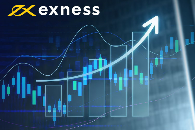 Best Account for Exness A Comprehensive Guide