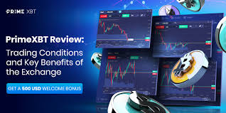 Exploring PrimeXBT Hub Your Gateway to Advanced Trading Solutions -638702764